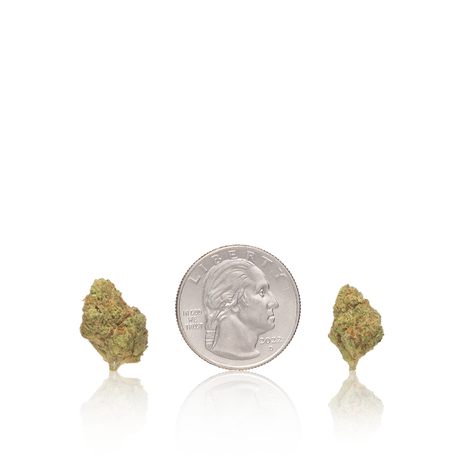 Budget Smalls