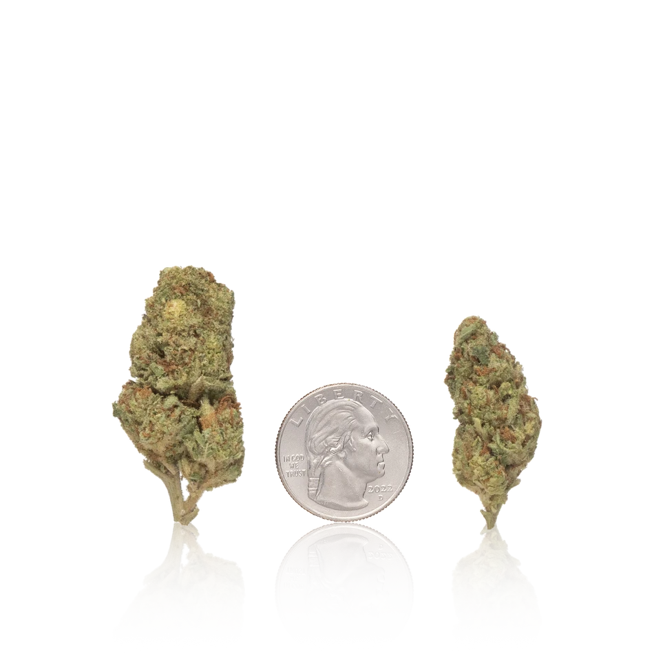 Budget Flower